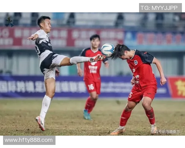 足球名家贾磊点评CBA联赛的言论汇总